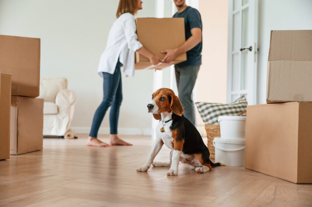 Moving with Pets in Whitchurch