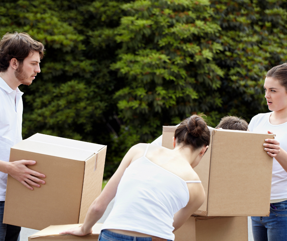Newbury Summer Removals